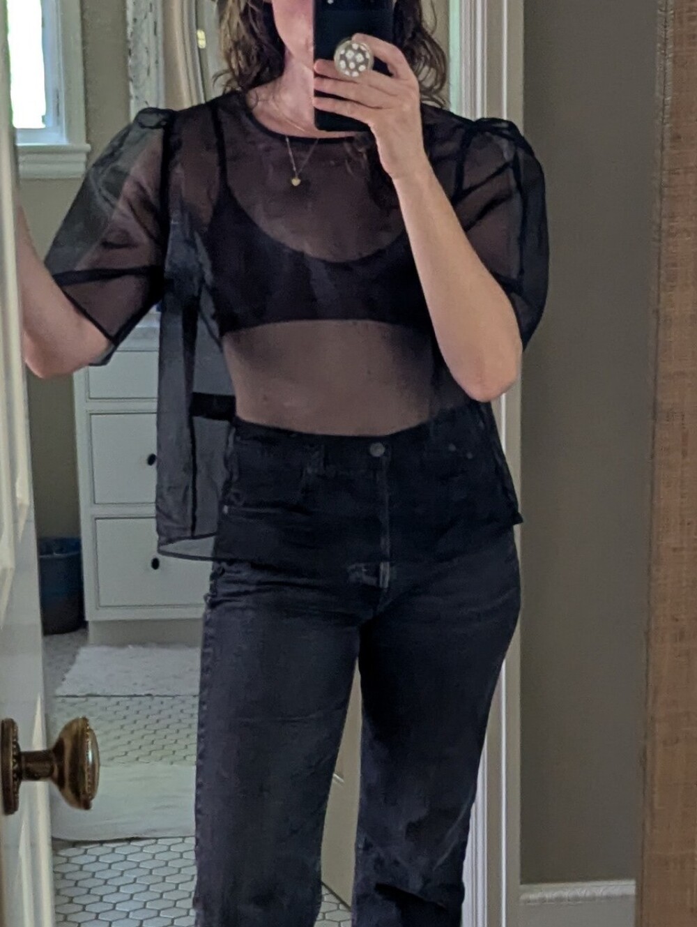 Black Sheer Organza Blouse